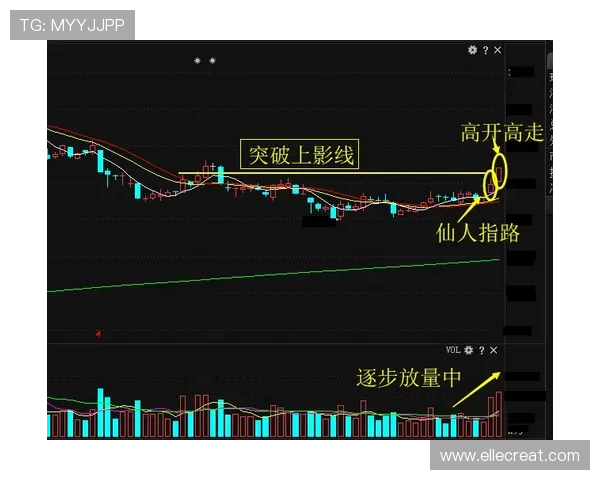 提升抢庄牛牛技巧的实用技巧和策略分析帮助玩家在复杂局势中做出正确决策赢得更多奖励
